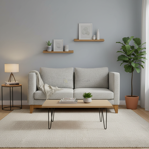 Double Seater Sofas