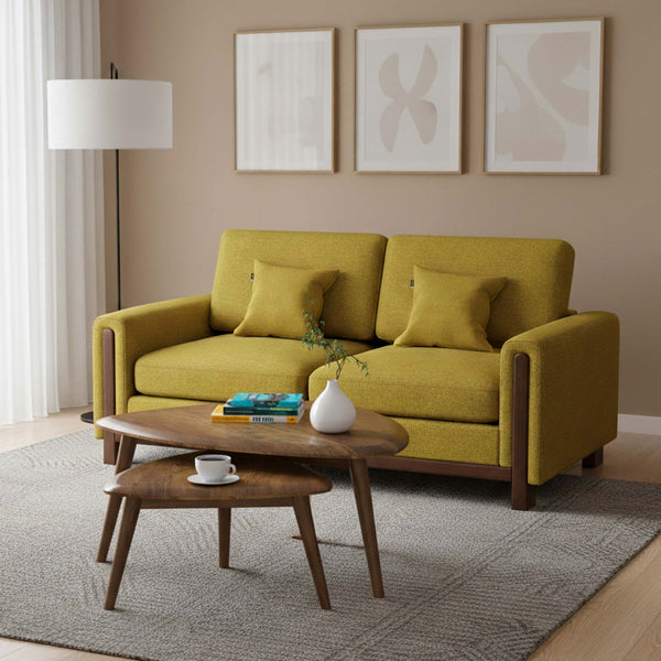 Mishu 2 Seater Sofa । HSV2-057