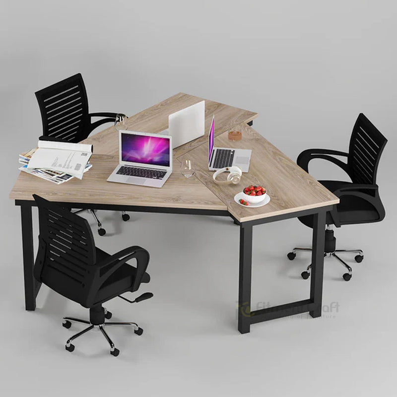 Triumph - Workstation