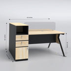 Fellow - Workstation । WSV2-001