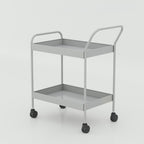 Modern Ervan Medicine Trolley for hospitals, mobile 2-tier medicine cart with wheels for clinic operations