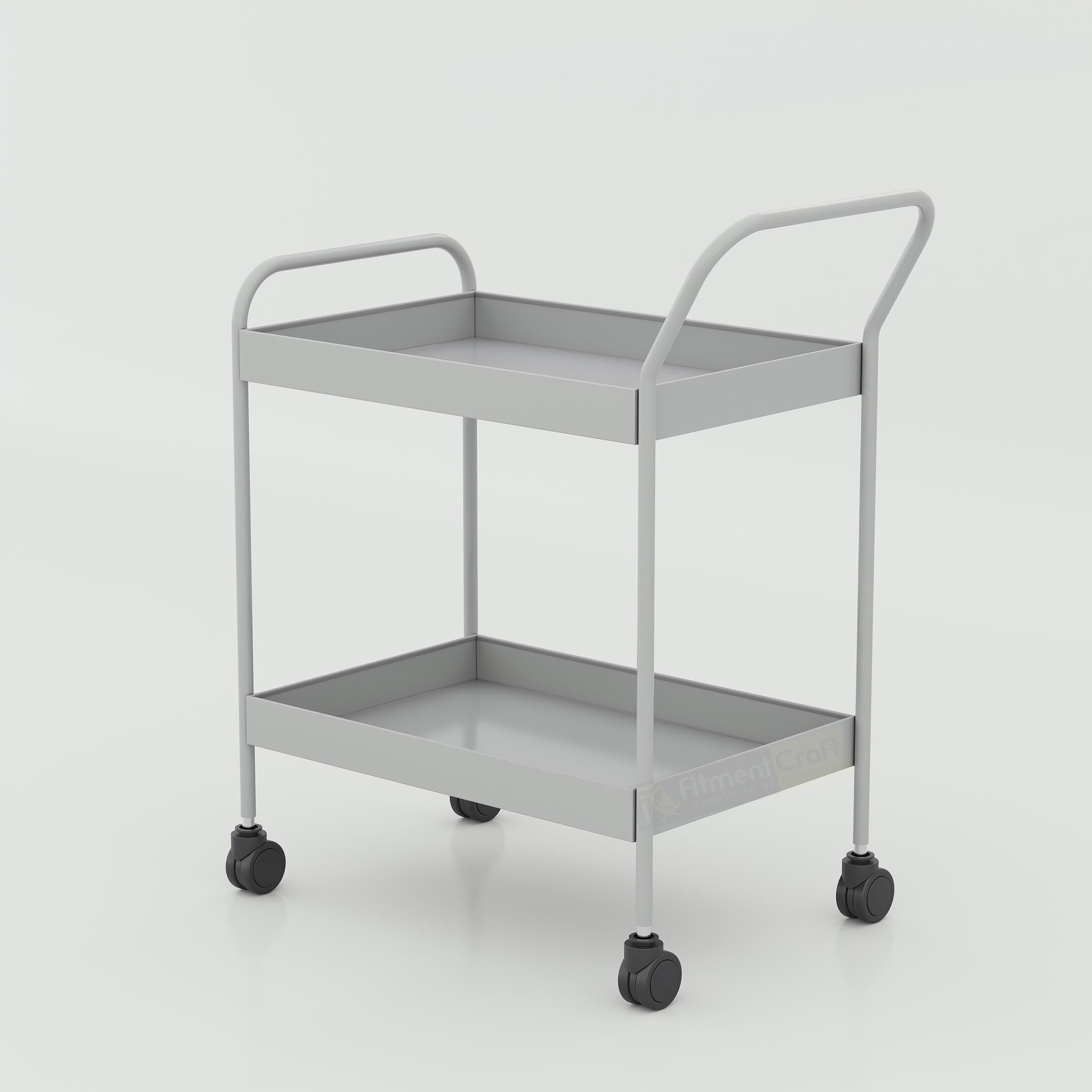 Modern Ervan Medicine Trolley for hospitals, mobile 2-tier medicine cart with wheels for clinic operations