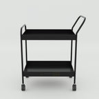 Ervan Medicine Trolley with wheels, 2-tier metal medical storage trolley for hospitals, clinics, and healthcare use