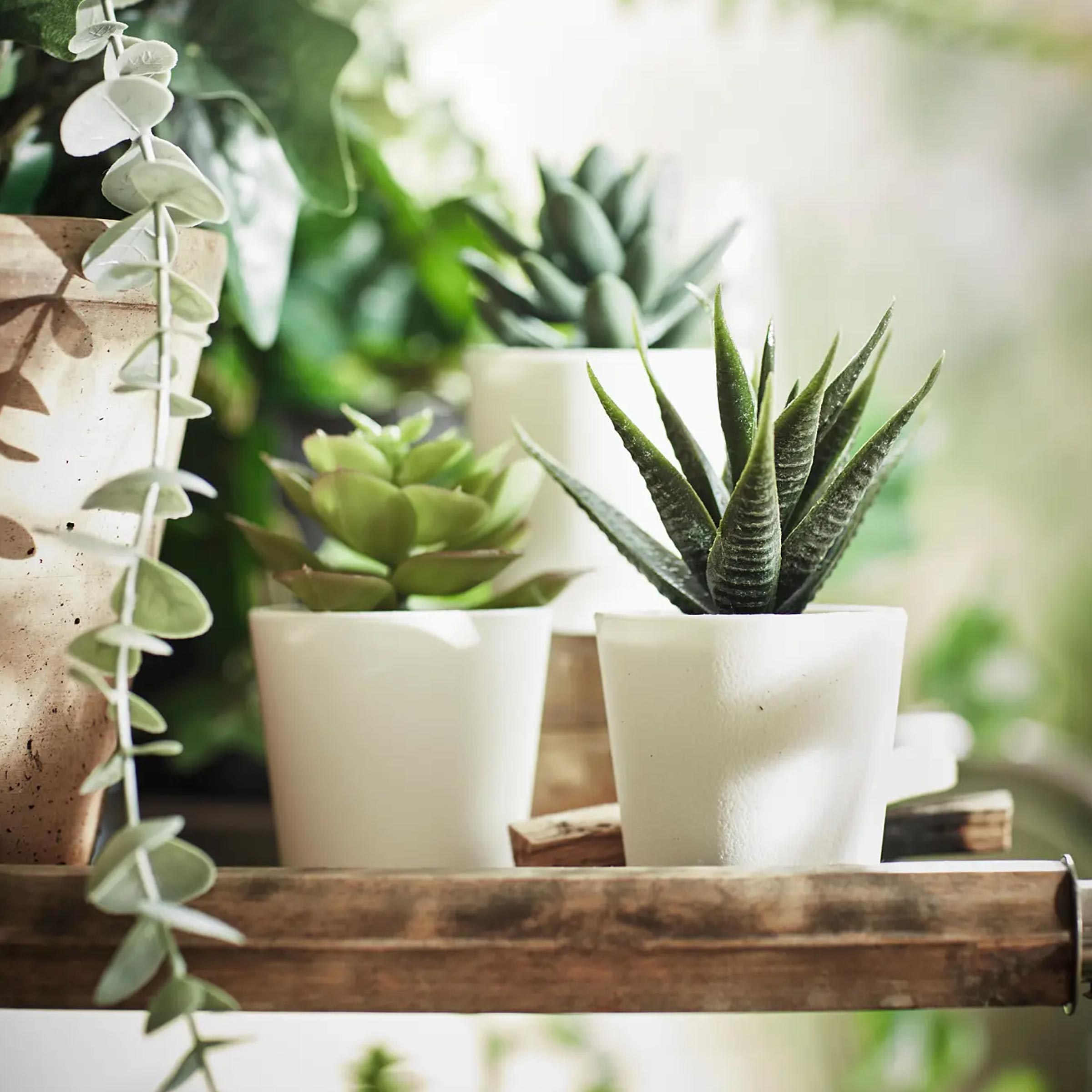 Fejka artificial potted plants set of 3 for desk, shelf, bathroom, balcony and home decor in Bangladesh buy online today