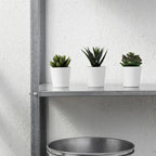 Set of 3 Fejka artificial potted plants, no watering mini plant decor for home and office in Bangladesh buy online today