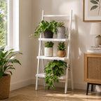 Modern Helon ladder plant stand with multi-tier shelves for indoor plants in living room corner décor setup