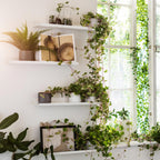 Malmback Display shelf product view with slim white steel ledge design