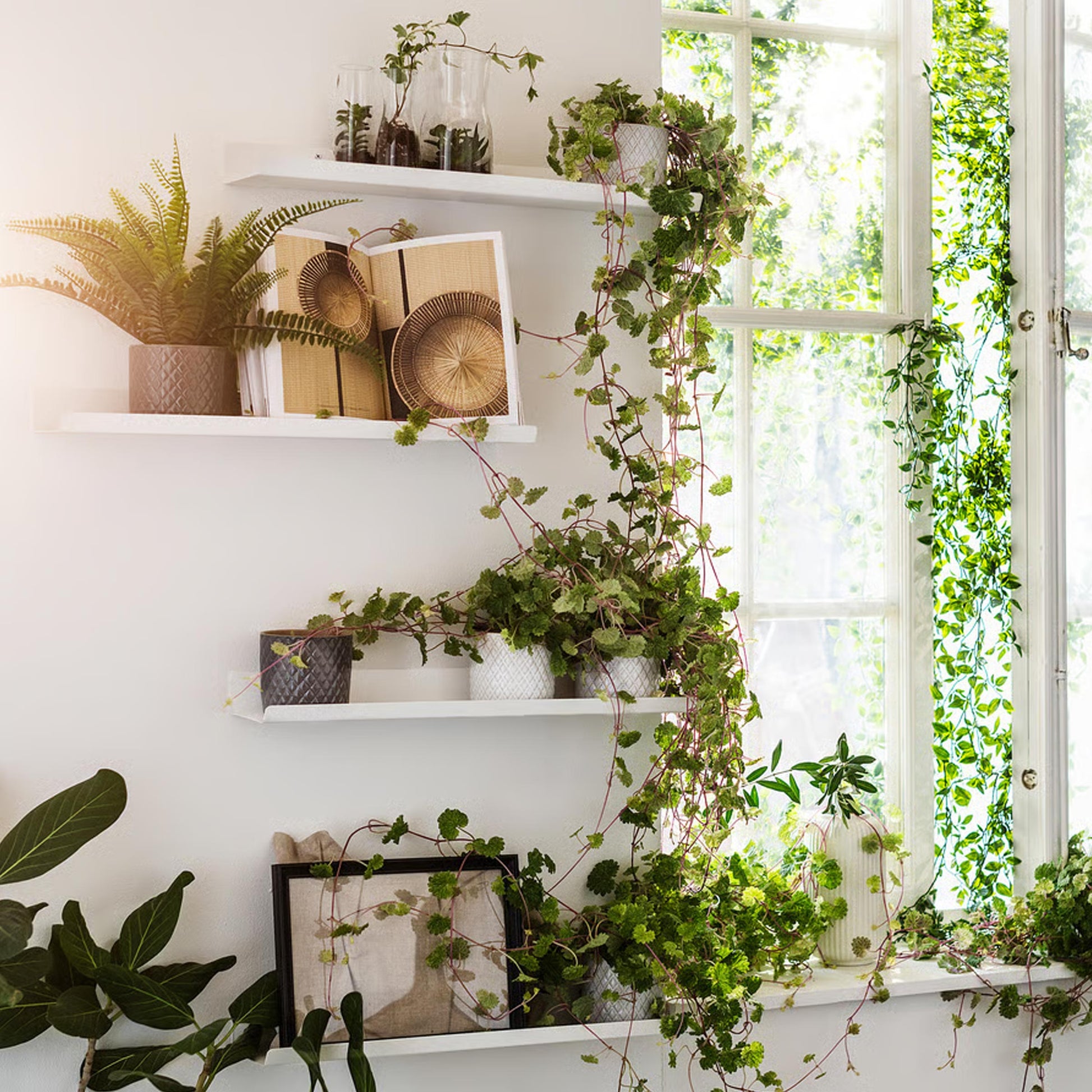 Malmback Display shelf product view with slim white steel ledge design