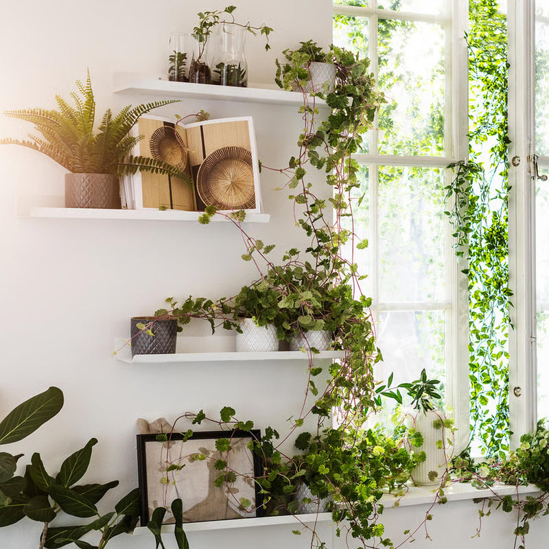 Malmback Display shelf product view with slim white steel ledge design