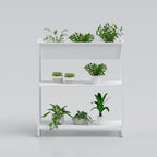 Stylish vertical plant shelf for displaying succulents flower pots and decorative plants in compact spaces