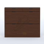 Sarix Shoe Rack (Double Layer)