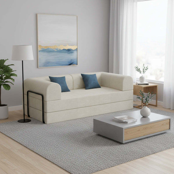 Spary Sofa Cum Bed