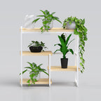 Contemporary plant display rack for living room balcony and apartment indoor plant organization