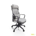 AeroFlex Executive Chair - Standard - image 1