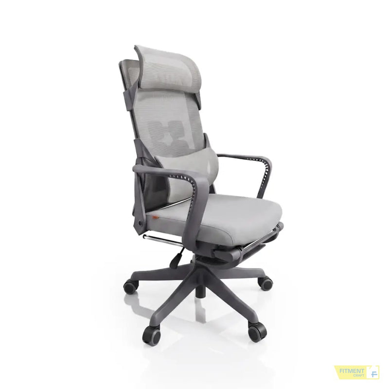 AeroFlex Executive Chair